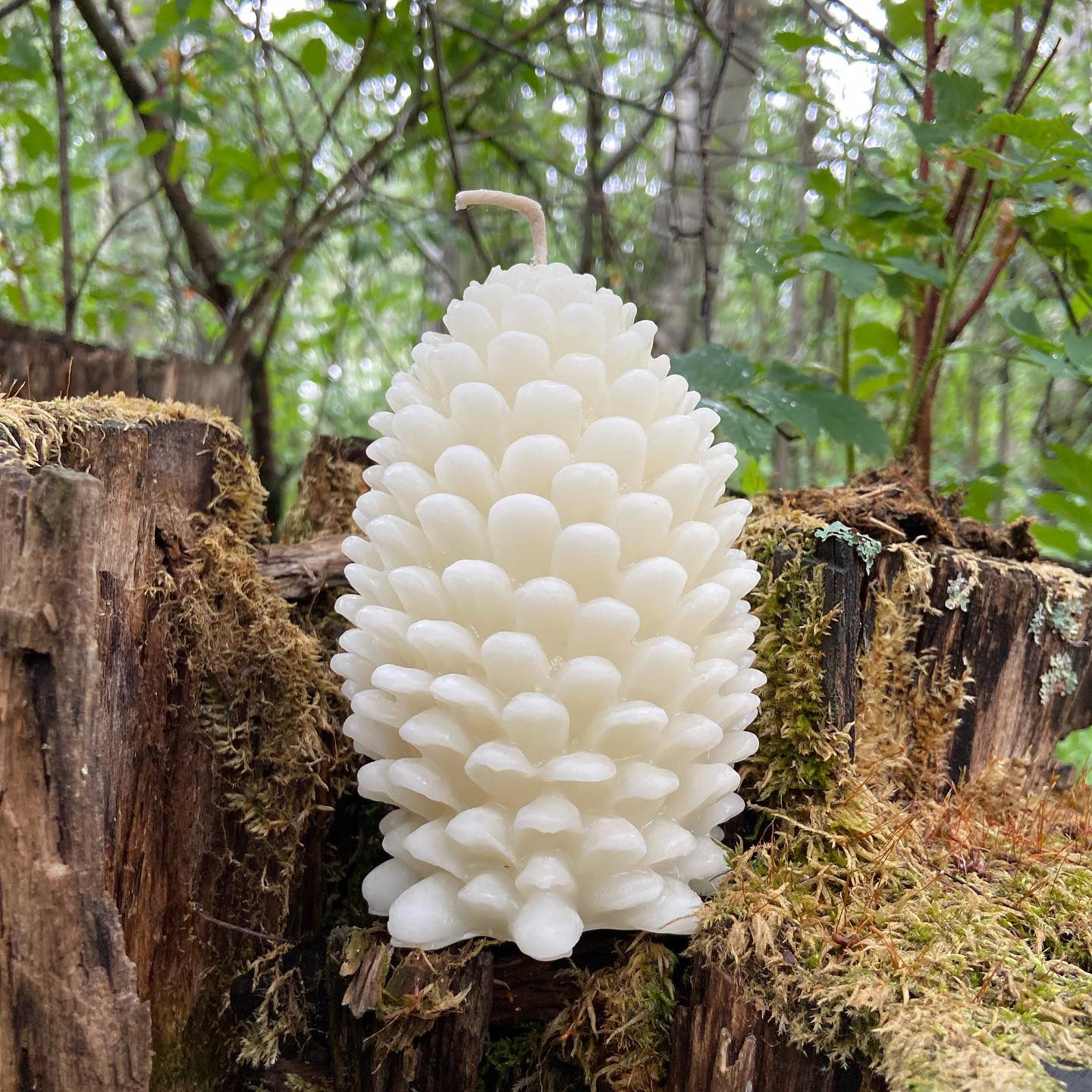 Beeswax Pine Cone Candles