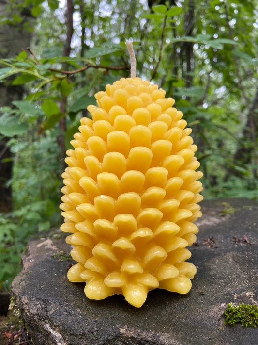 Beeswax Pine Cone Candles