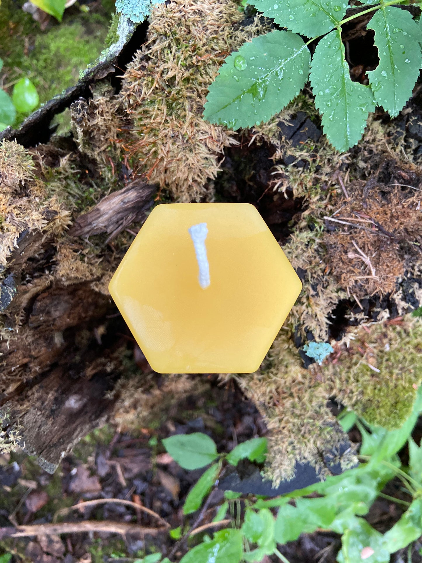Hexagon Pillars — 100% Pure Beeswax