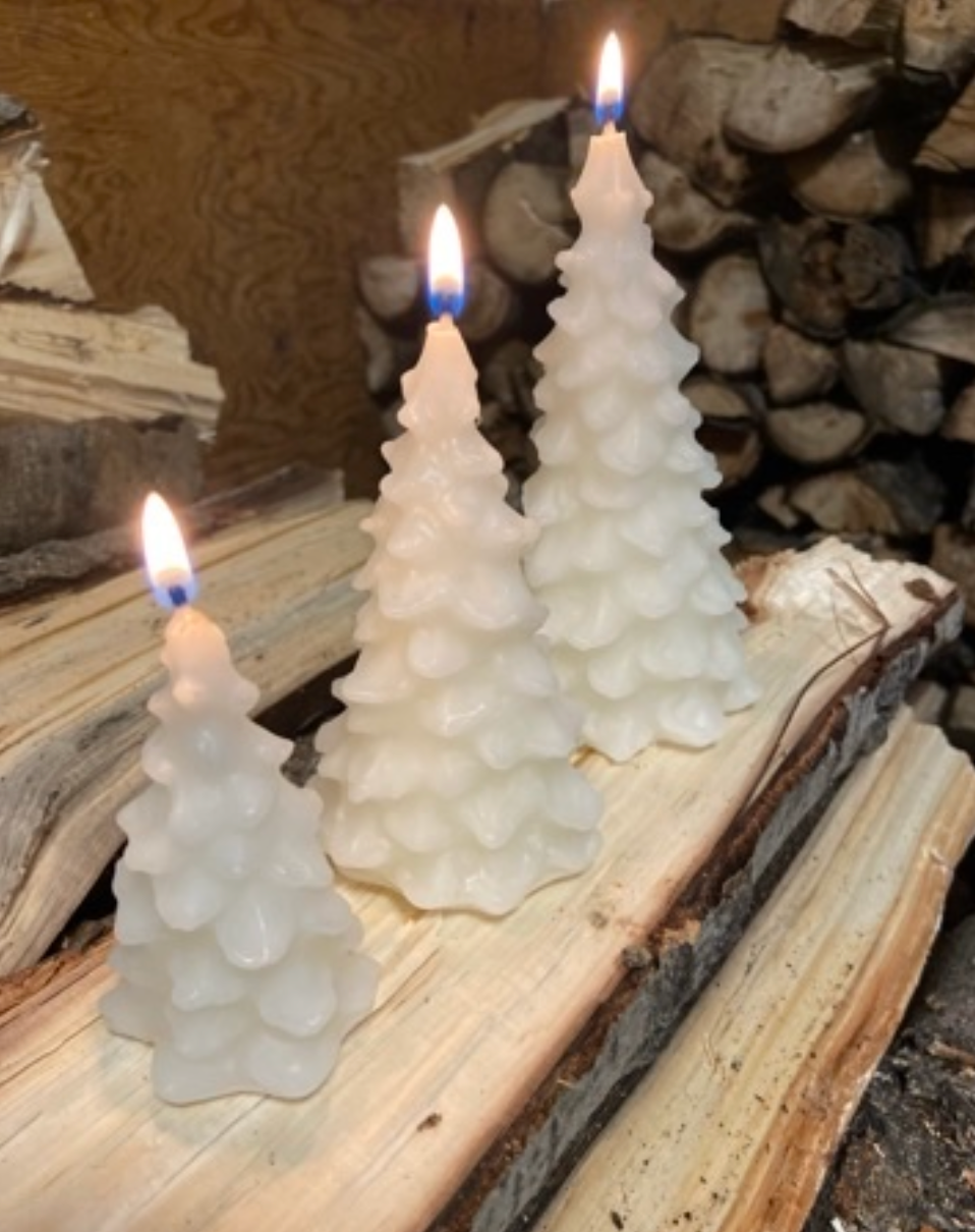 Small Spruce